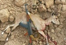 صورة تعبيرية من الأرشيف