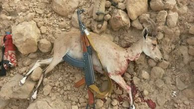 صورة تعبيرية من الأرشيف