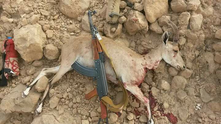 صورة تعبيرية من الأرشيف